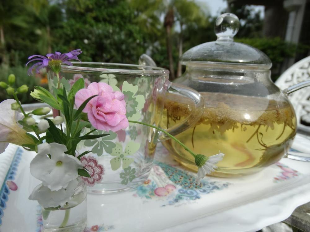 Noosa Valley Manor B&B Doonan ภายนอก รูปภาพ
