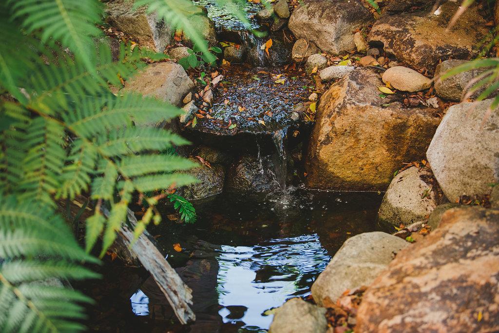 Noosa Valley Manor B&B Doonan ภายนอก รูปภาพ