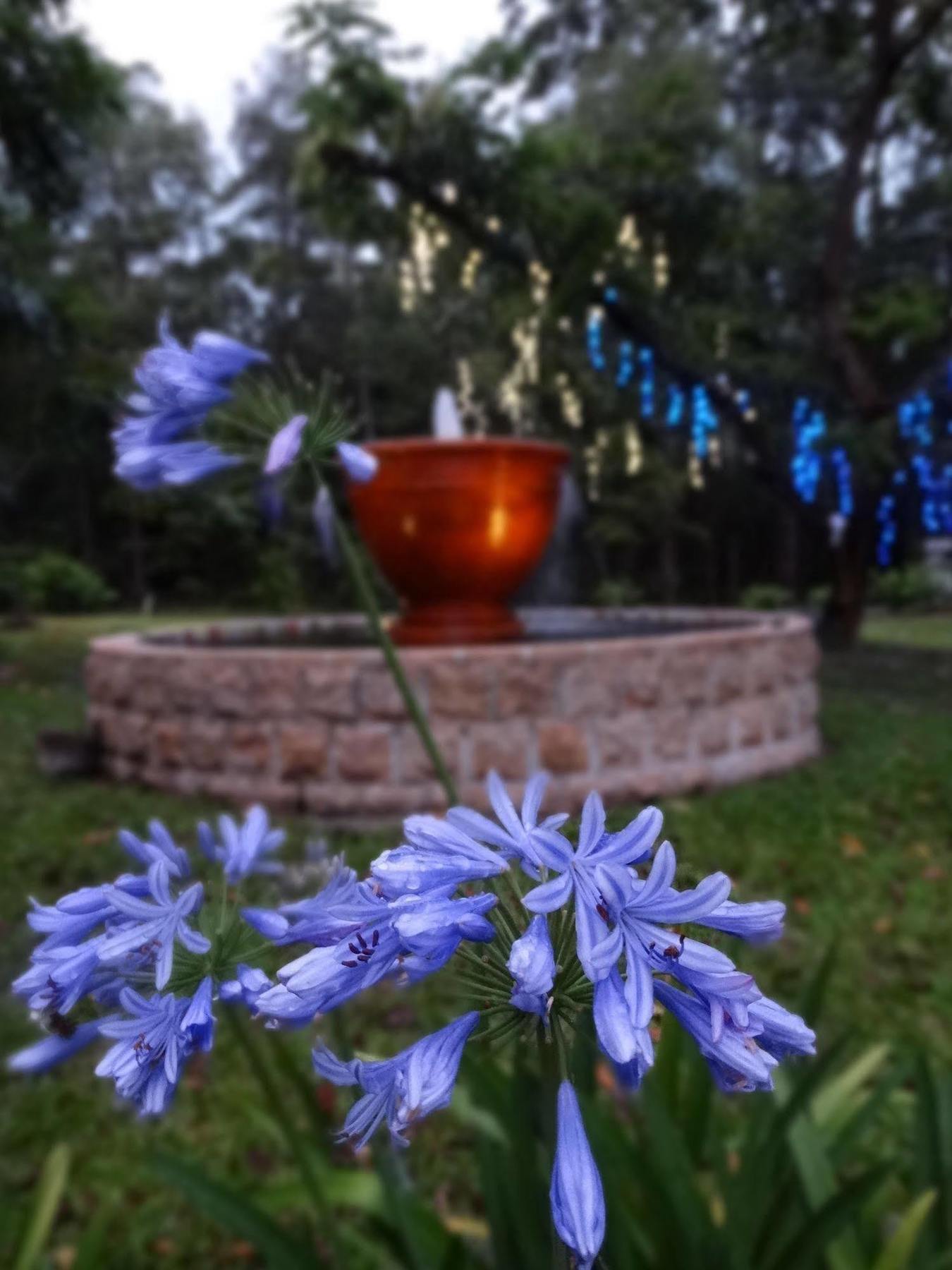 Noosa Valley Manor B&B Doonan ภายนอก รูปภาพ