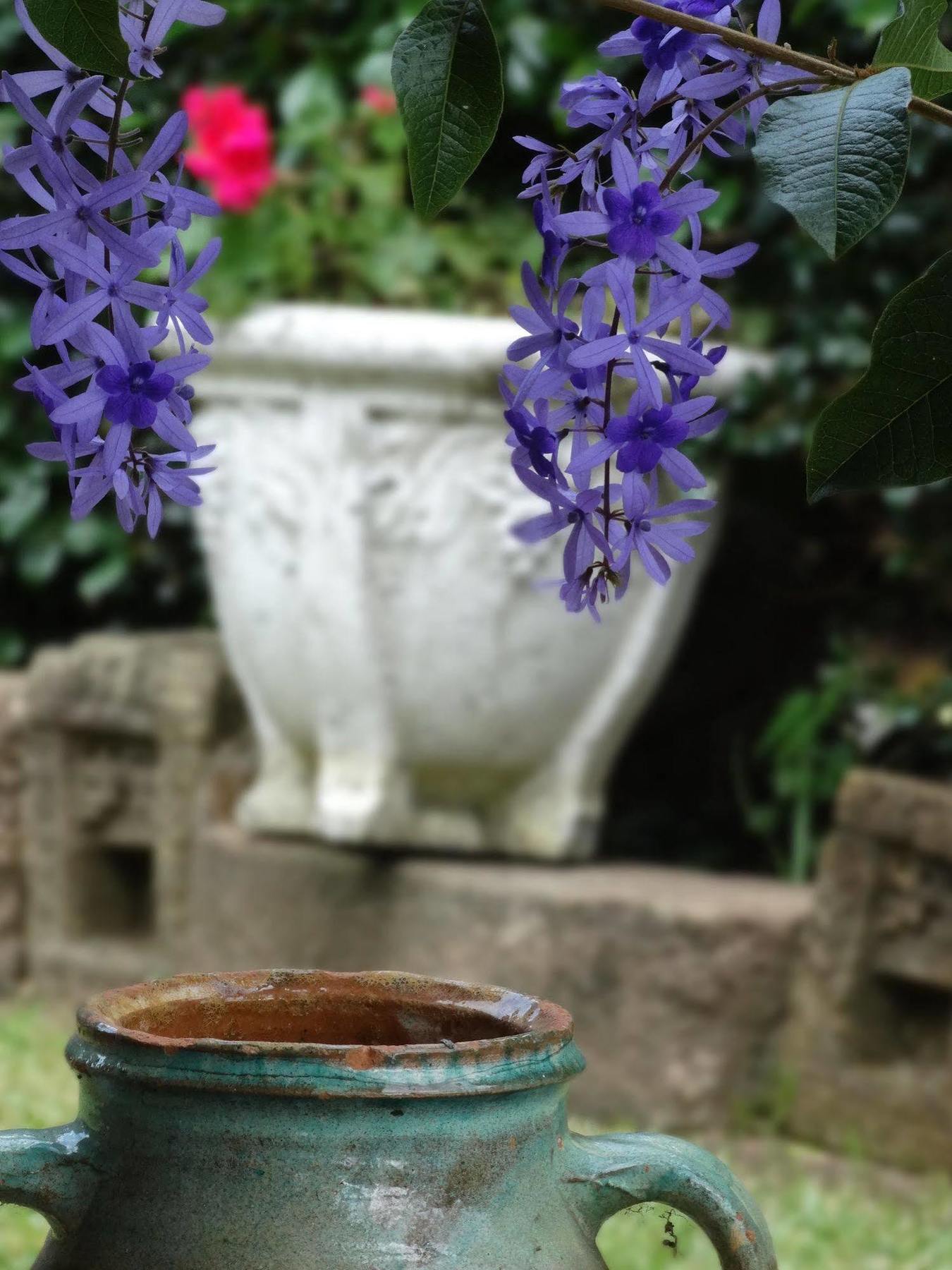 Noosa Valley Manor B&B Doonan ภายนอก รูปภาพ